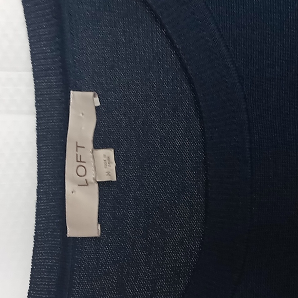 Beautiful Beaded LOFT Sweater - Picture 3 of 4